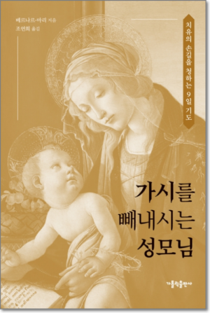 생활성서사 인터넷서점,가시를 빼내시는 성모님 / 가톨릭출판사,생활성서